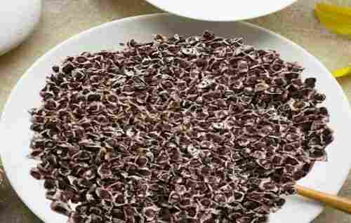 High Protein Whole Dried Moringa Oleifera Seed