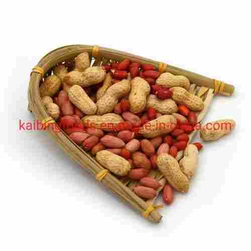 Natural and Healthy Blanched Peanuts