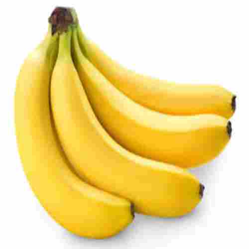 Healthy Nutritious Absolutely Delicious Organic Yellow Fresh Banana