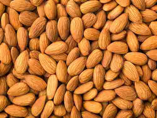 Protein 20.05% Calcium 26% Healthy Natural Crunchy Taste Dried Almonds Kernels