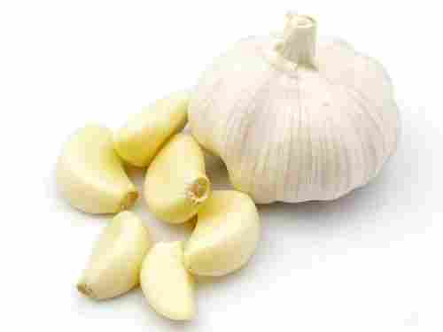 Energy 148.9 Calories Rich In Taste Natural Healthy Organic Fresh Garlic