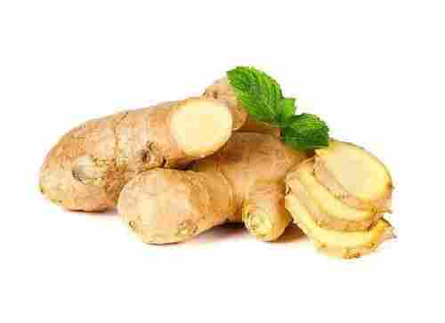 Maturity 100% Natural Good Taste Healthy Organic Brown Fresh Ginger