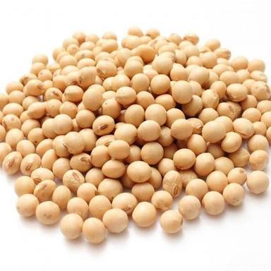 Organic Non Gmo Yellow Soybean Purity: 100