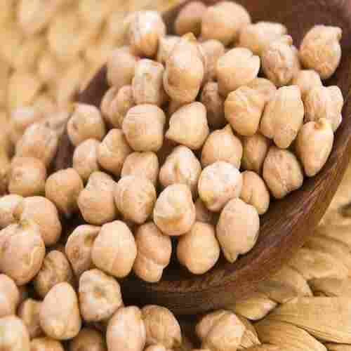 Purity 98% High in Protein Healthy Dried Organic White Chickpeas