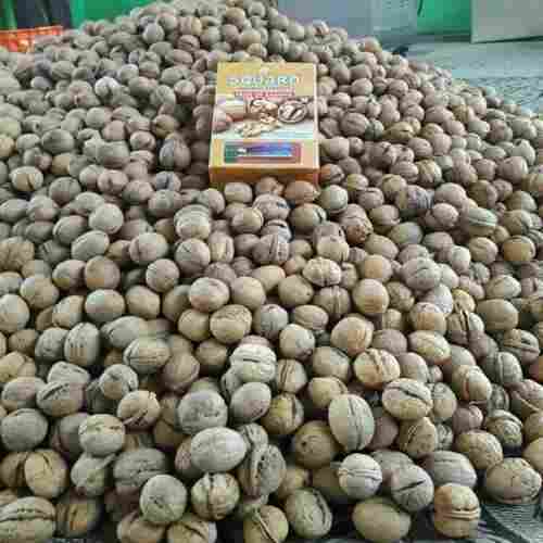 Organically Grown With Pure Natural Taste Whole Kashmiri Walnuts