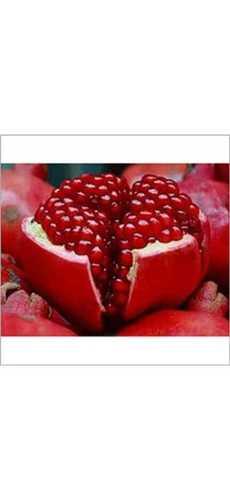 Red Natural Taste Pomegranate Fruit