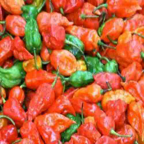 Spicy Natural Taste Dried Red Naga King Chilli