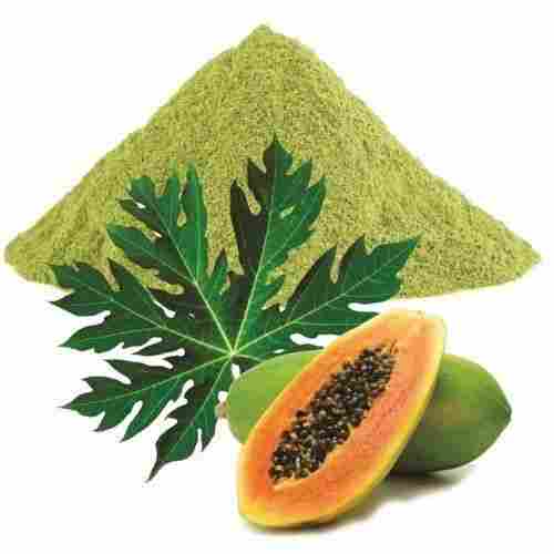 Natural Fresh Papaya Leaf Powder