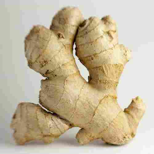 Hygienically Packed Natural Good Taste Healthy Organic Brown Fresh Ginger