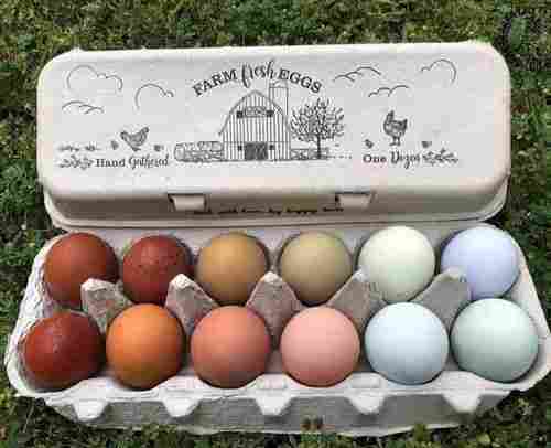 Fine Finish Vintage Egg Cartons