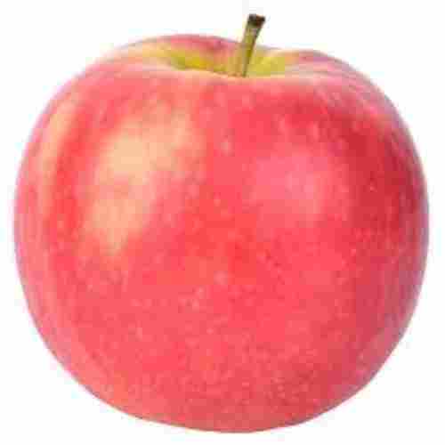 Good For Nutrition Organic Fresh Apple