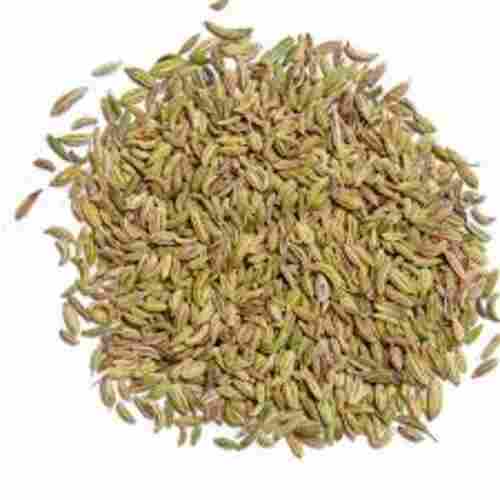 Moisture 10% Rich In Taste Natural Healthy Dried Organic Fennel Seeds