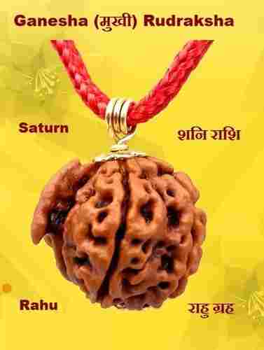 Original Ganesh Mukhi Rudraksha Mala