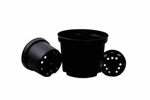 Green And Black Plastic Grow Pot And Planters - Mabco Planting And Nursery
