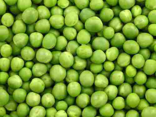 Fresh Green Peas Vegetable