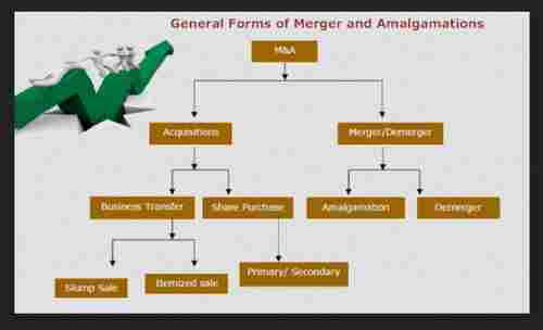 Merger And Amalgamations Service