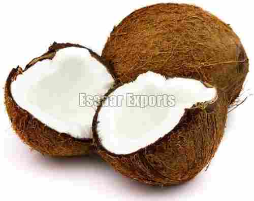 Excellent Quality Free From Impurities Natural Taste Organic Brown Fresh Coconut