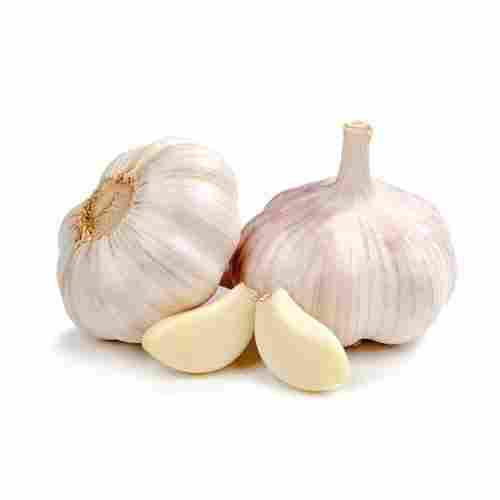 Rich In Taste Natural Healthy White Fresh Garlic