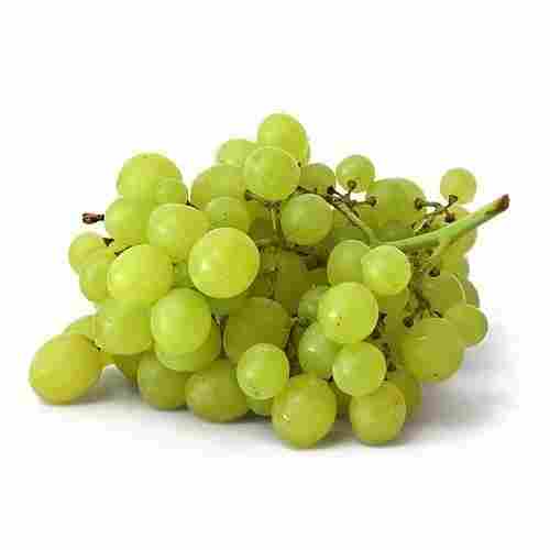 Delicious Rich Taste Organic Green Fresh Sultana Grapes