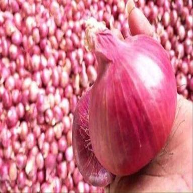 Round & Oval Enhance The Flavour Natural Taste Fresh Organic Red Onion