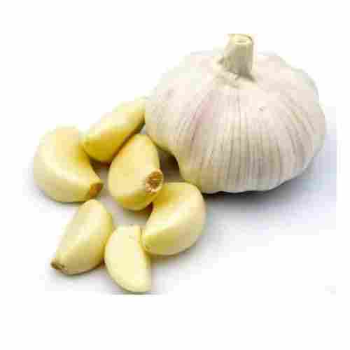 Moisture 100% Rich In Taste Natural Healthy Organic White Fresh Garlic
