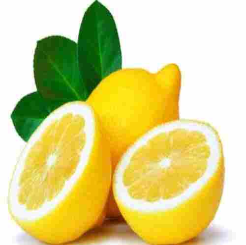 Easy To Digest Sour Taste Yellow Organic Fresh Lemon
