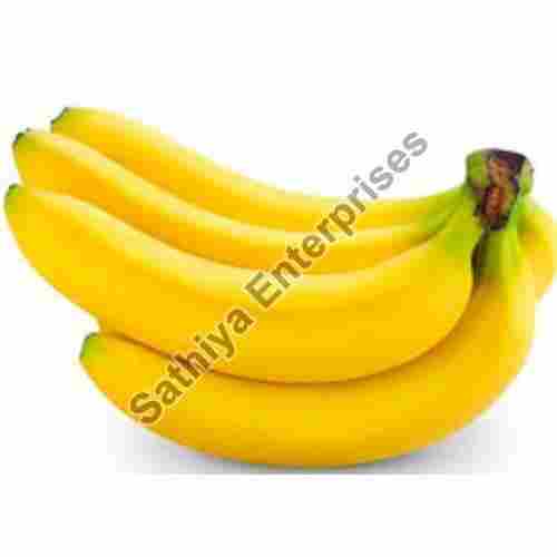 Absolutely Delicious Natural Taste Healthy Organic Yellow Fresh Banana Packed in Plastic Bag