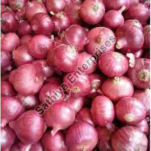 Maturity 99% Enhance the Flavour Natural Taste Healthy Organic Red Fresh Onion Packed in Plastic Packet
