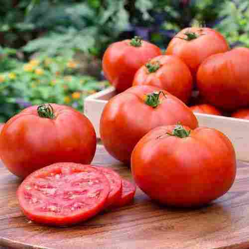 Maturity 90 to 95 Percent Pesticide Free Rich Natural Taste Healthy Red Fresh Tomato