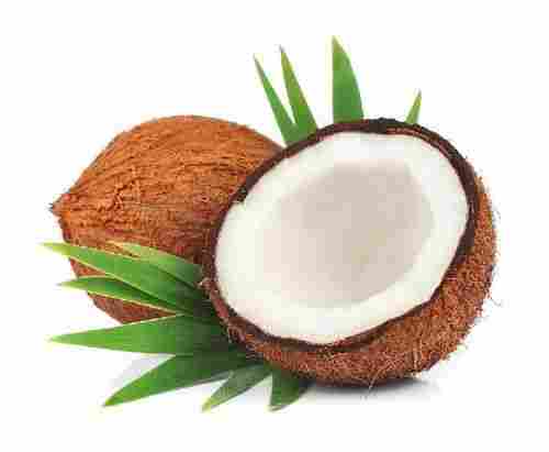 Healthy Natural Rich Taste Organic Brown Fresh Coconut