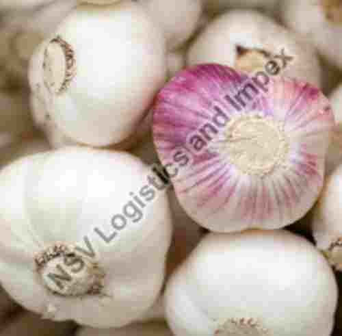 100% Pure and Natural A Grade Whole Fresh Garlic for Cooking and Pickle