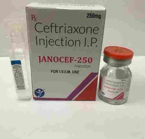 250mg Ceftriaxone Injection IP