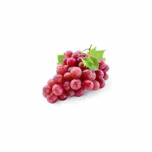 Natural Sweet Taste Rich Vitamin Healthy Fresh Red Grapes