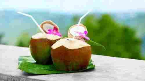 Coconut Water Drinks With Available Packs 330 ml, 200 ml , 1000 ml And 12Montsh Shelf Life