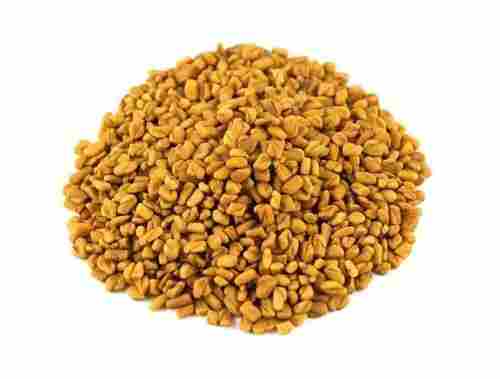 Rich In Taste Dried Healthy Yellow Fenugreek Seeds