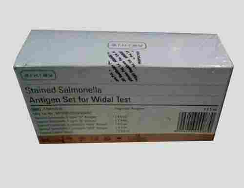 Stained Salmonella Rapid Blood Antigen Kit For Typhoid Infection Widal Test