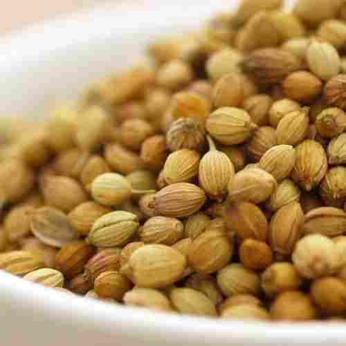 Pure Natural Rich Taste FSSAI Certified Healthy Dried Coriander Seeds