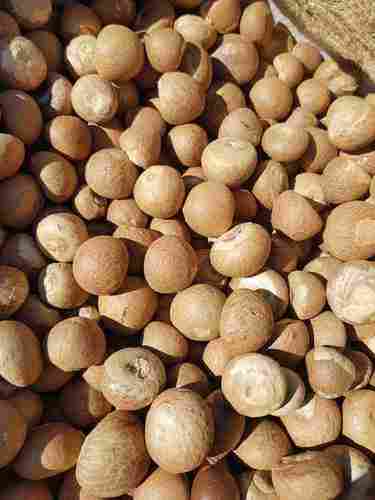 100% Pure and Natural Betel Nuts