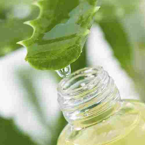 Organic Antioxidant Aloe Vera Plant Root Extract Dry Powder For Skin Health