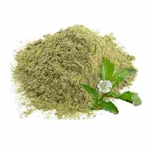 Organic Bhringraj (Eclipta Alba Hassk) Extract Dry Powder For Hair Problems