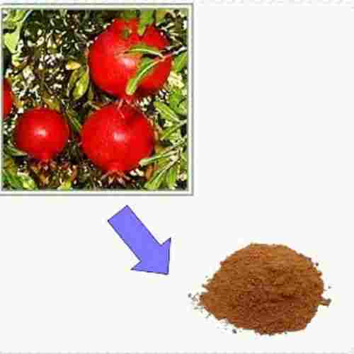 Organic Blood Purifier Dadima (Punica Granatum) Root Extract Dry Powder