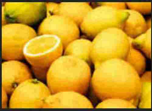 A Grade Tamil Naidu Naturally Grown Organic Yellow Fresh And Juicy Lemon