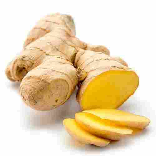 Oil Content 1 to 1.18 Percent Fine Natural Rich Taste Healthy Brown Fresh Ginger