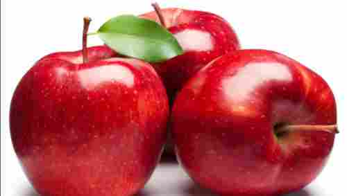 Rich Natural Delicious Taste Healthy Organic Red Fresh Shimla Apple