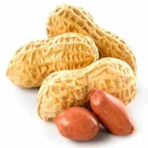 Fine Natural Delicious Rich Taste Dried Peanut Kernel