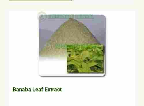 Hyginically Processed Fresh and Natural Herbal A Grade Banaba Leaf Extract
