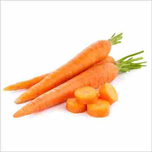 Natural Rich Taste High Fibre Healthy Red Fresh Carrot
