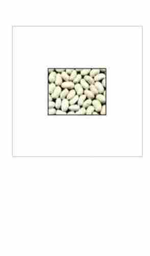 Herbal Free From GMO Natural White Kidney Beans Extract without Artificial Color and Flavor