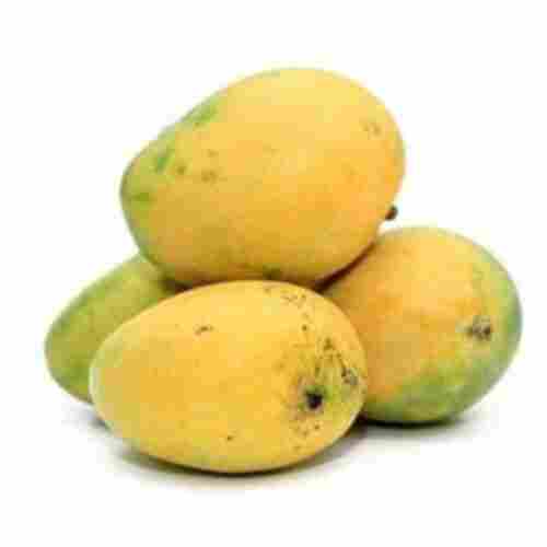 Vitamin C 60 Percent Delicious Rich Natural Taste Healthy Yellow Fresh Banganapalli Mango