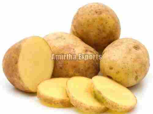 Floury Texture Rich Natural Delicious Taste Organic Brown Fresh Potato
